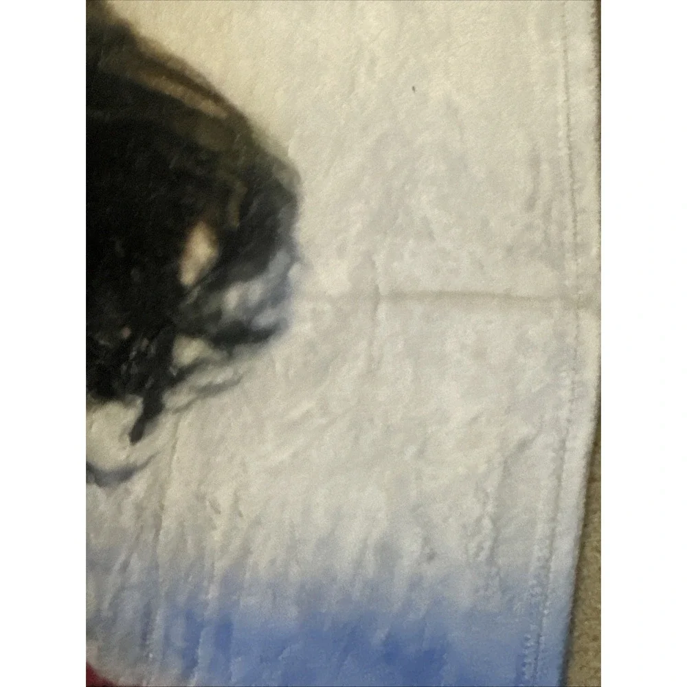 Harry Styles Photo Print Fleece Throw Blanket Soft Plush 130x150cm New‎
